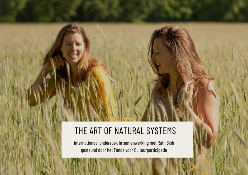 The Art of Natural Systems